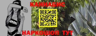 индика Кунгур