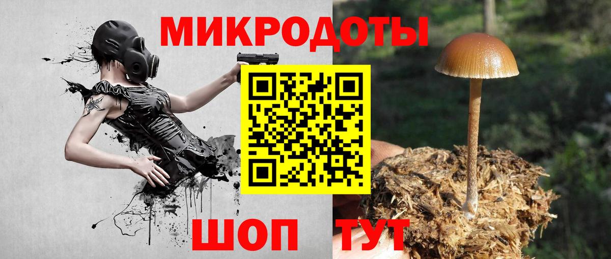 Уссурийск  Псилоцибиновые грибы мухоморы  Вход с VPN  Псилоцибиновые грибы Psilocybe 